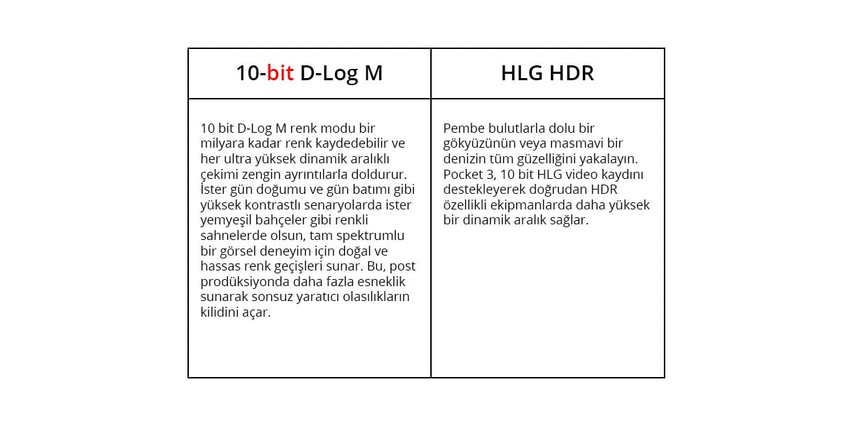 Pocket 3 - 10 bit hdr